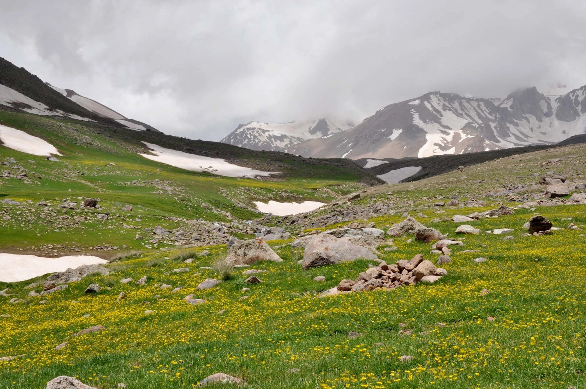 The snowy peaks and green pastures of Mount Sabalan